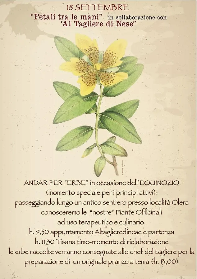 Al Tagliere Di Nese Hotel Alzano Lombardo
